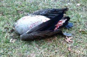 69741_10150340169010655_4335509_n