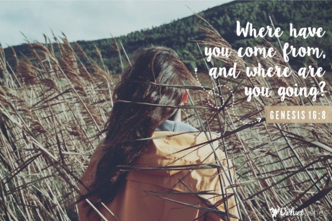 genesis-16-8.2-726x484