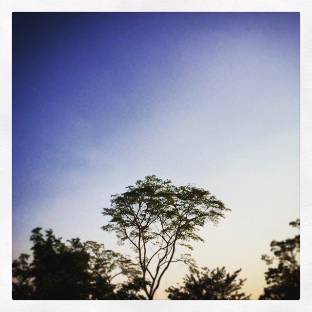 13007324_10156763353510621_3593037002756866721_n