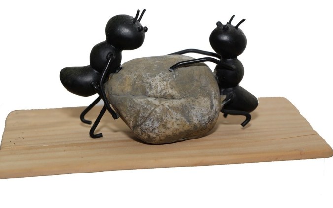 ants-1169349_960_720a