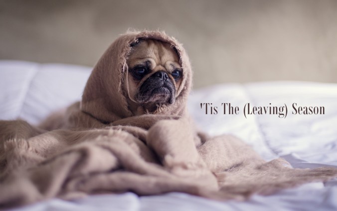 photo-1453227588063-bb302b62f50b (Large)a