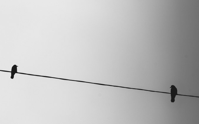 photo-1462038468000-f8efca43aaadedit