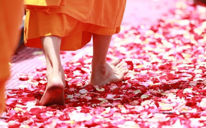 monk-458491_960_720a