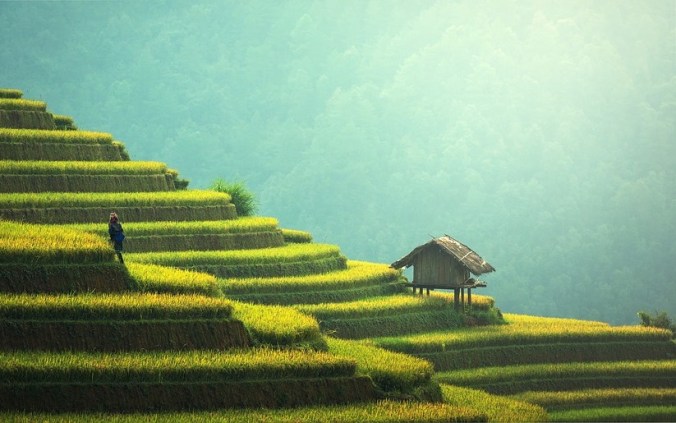 agriculture-1807581_960_720a