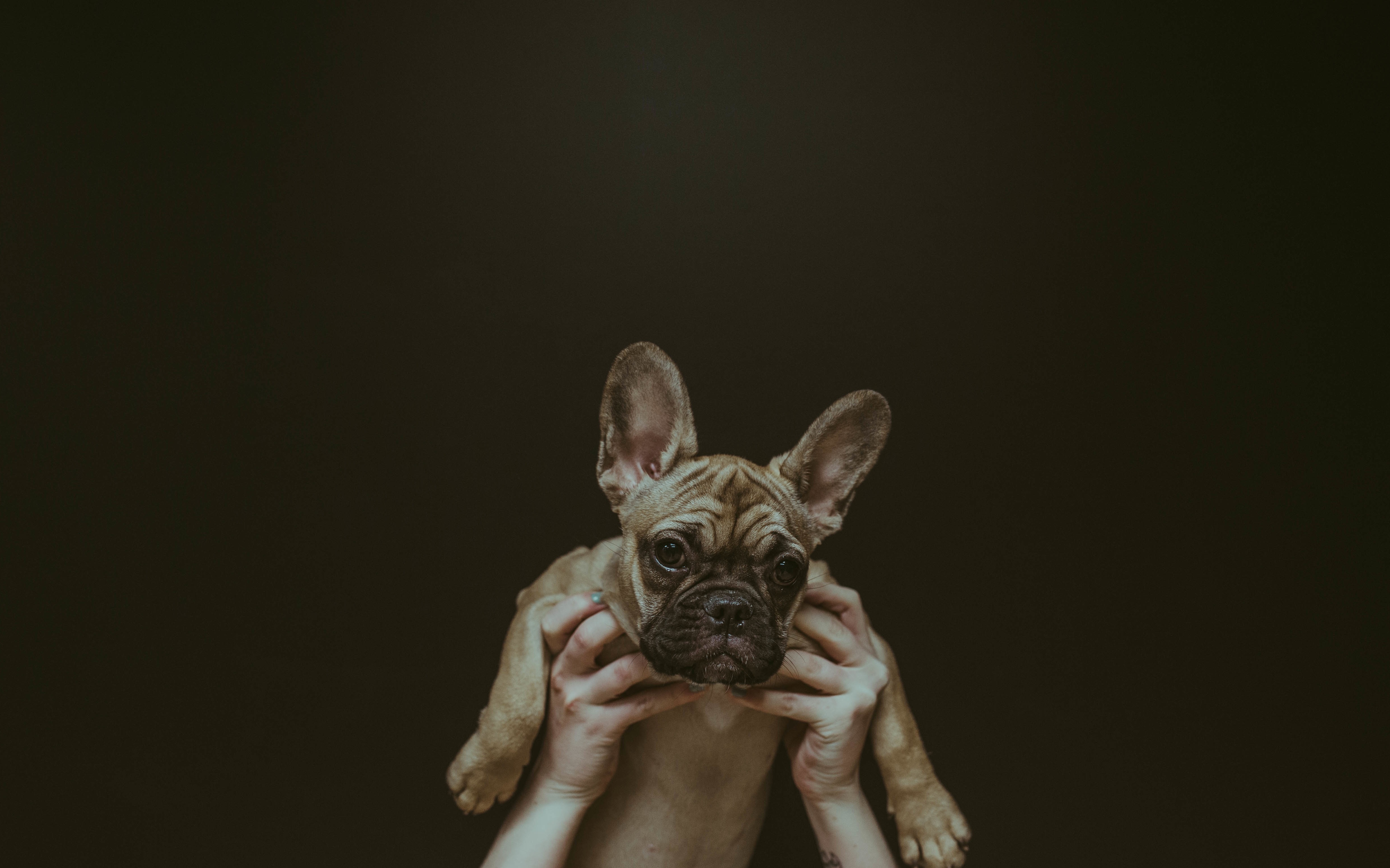 ocwwycvioou-brooke-cagle