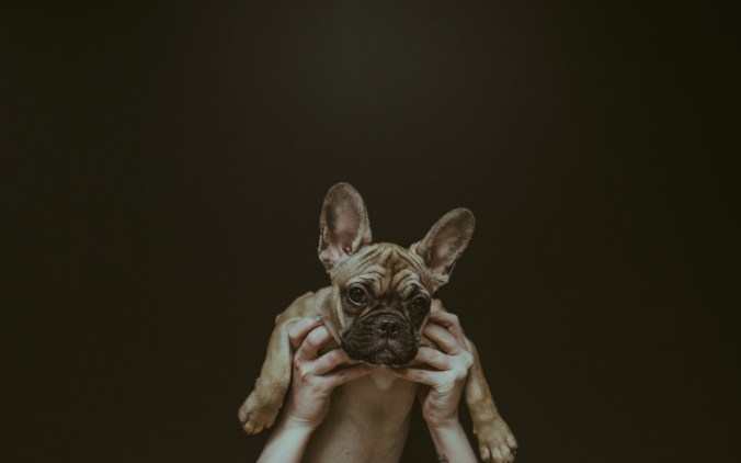 ocwwycvioou-brooke-cagle