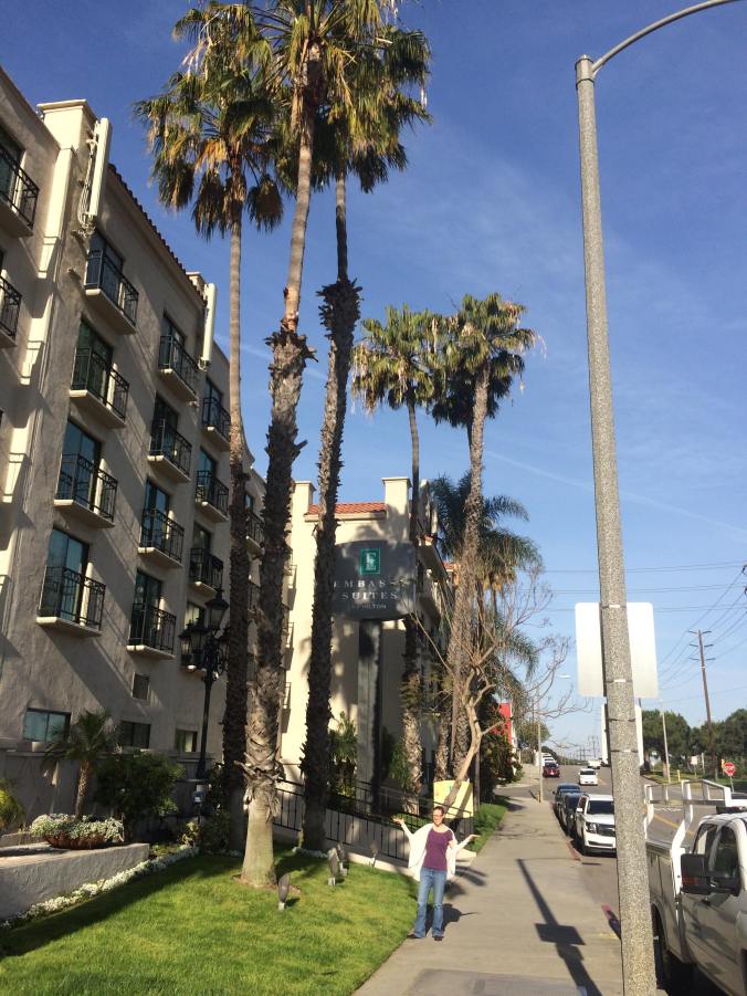 31958915_10160218261265621_8409725615460057088_n