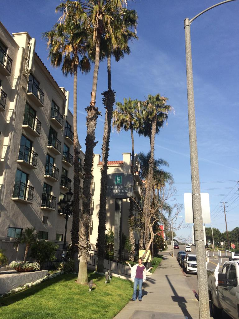 31958915_10160218261265621_8409725615460057088_n