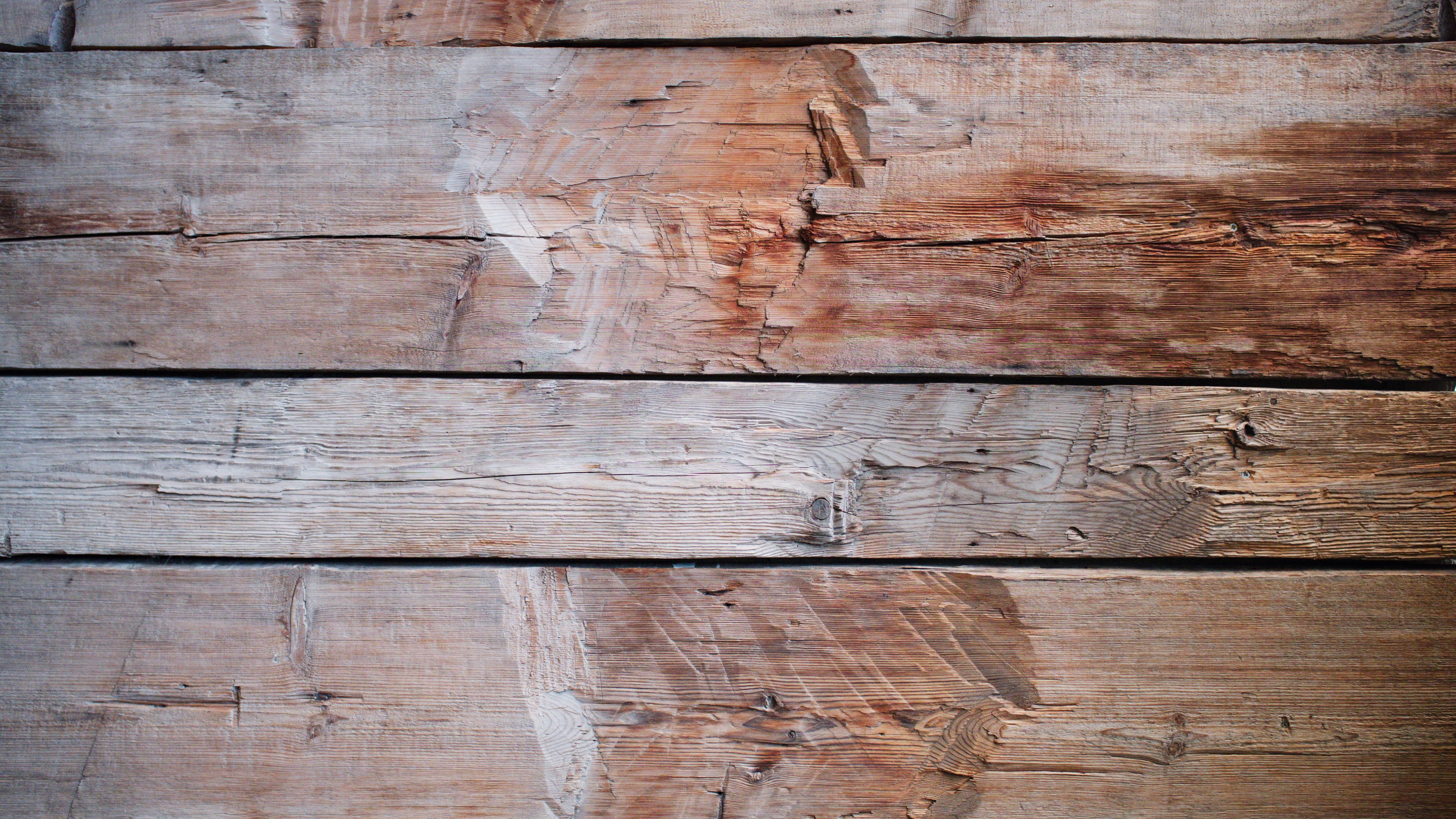 andrej-lisakov-545642-unsplash